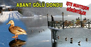Abant Gölü'nde ördek keyfi!