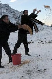 Aç kalan yabani hayvanlar için yem bırakıldı