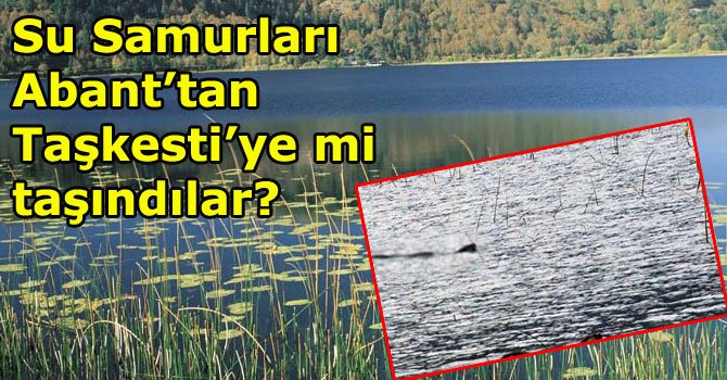 Samurlarımız kaçtı