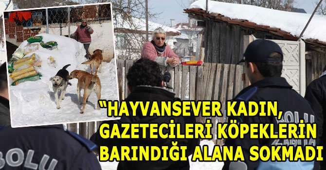 Bolu'da hayvansever kadına zabıtadan tutanak