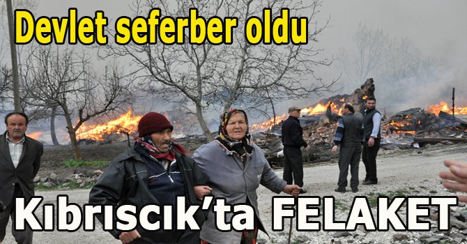 Kıbrıscık'ta yangın felaketi...