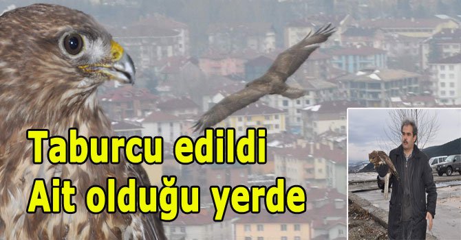 Özgürlüğüne kavuştu