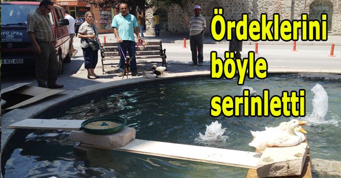 Sıcaklar insanlar kadar hayvanlarıda bunaltıyor