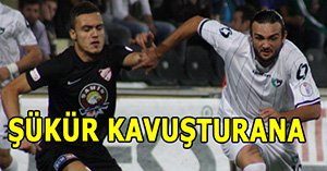 Horoz misali...