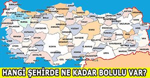Türkiye'de ne kadar Bolulu var?