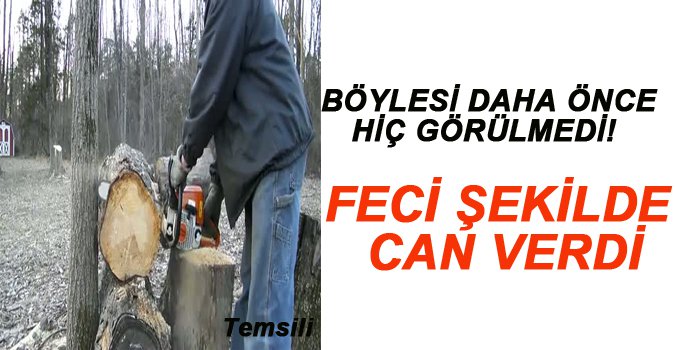 KESİM MOTORUNDAN ÇIKAN GAZ CAN ALDI!