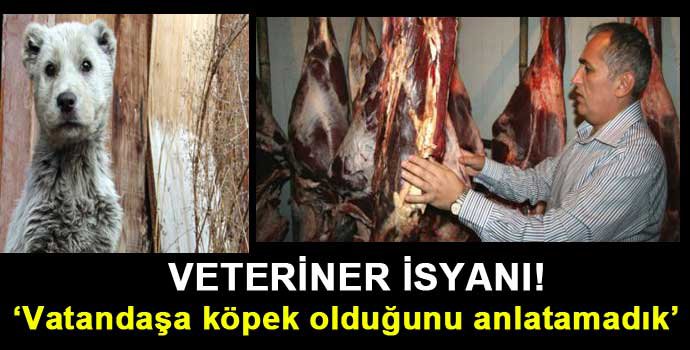 O VETERİNER KENDİNİ SAVUNDU