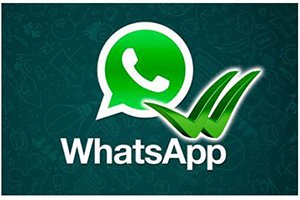 WHATSAPP'A YENİ UYGULAMA GELİYOR...