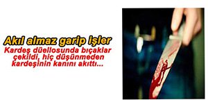 BOLU'DA KARDEŞ KARDEŞİ BIÇAKLADI