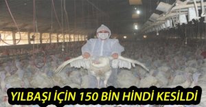 BOLU'DA YILBAŞI İÇİN 150 BİN HİNDİ KESİLDİ