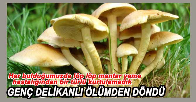 21 YAŞINDAKİ GENÇ MANTARDAN ZEHİRLENDİ
