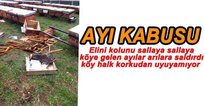 ARI KOVANLARINA AYI SALDIRDI!