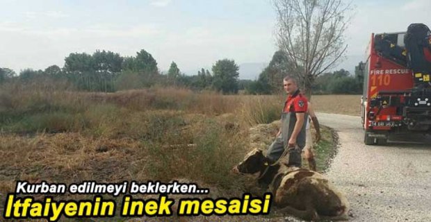 ÇAMURA BATAN İNEĞİ İTFAİYE KURTARDI!