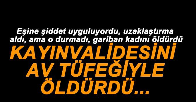 KAYINVALİDESİNİ AV TÜFEĞİYLE ÖLDÜRDÜ