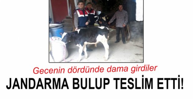 KÖYDE DAMA GİRİP BUZAĞILARI ÇALDILAR!