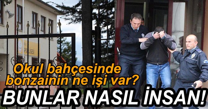 OKUL BAHÇESİNDE BONZAİ TEHLİKESİ