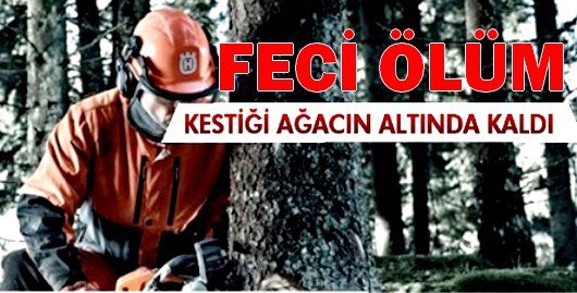 ORMAN İŞCİSİ FECİ ŞEKİLDE CAN VERDİ.