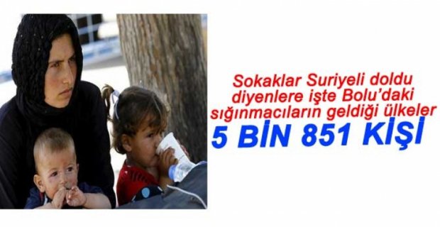 RESMİ RAKAMLARLA BOLU'DAKİ SIĞINMACI SAYISI...