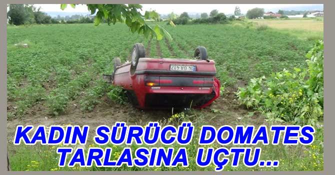 TAKLA ATAN OTOMOBİL DOMATES TARLASINA UÇTU