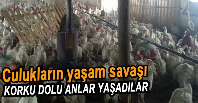TELEF OLMAKTAN SON ANDA KURTULDULAR!...