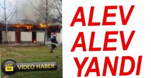 ALEV ALEV YANDI