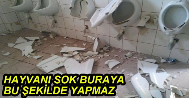 BUNLARA NE GEREK VAR!