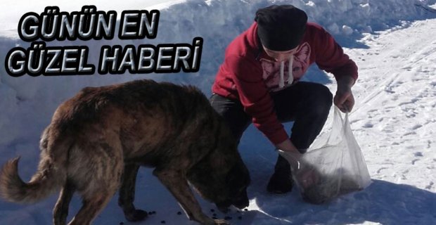 BOLU'DA  HİÇBİR CANLI SAHİPSİZ DEĞİL