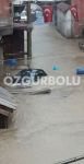 GEREDE YARALARINI SARMAYA ÇALIŞIYOR