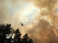 ORMANLIK ALAN ALEV ALEV YANIYOR