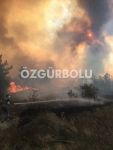 ORMANLIK ALAN ALEV ALEV YANIYOR