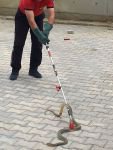 BOLU’YU YILANLAR SARDI