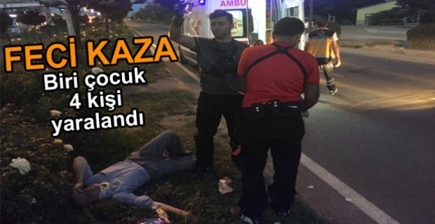AĞAÇLARA ÇARPTILAR