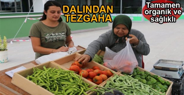 BELEDİYENİN ÜRÜNLERİ SATIŞA ÇIKTI