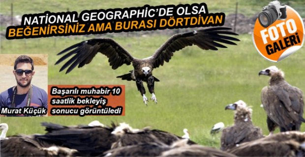 DÜNYA'NIN HER YERİNDEN ZİYARETÇİSİ VAR