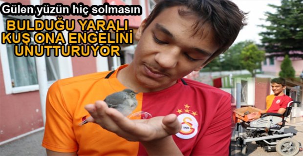 EN YAKIN ARKADAŞI YARALI KUŞU OLDU