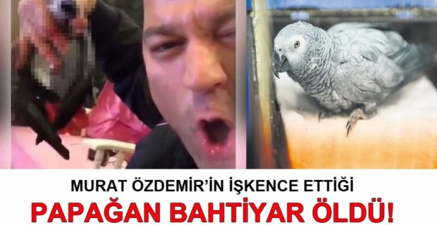 PAPAĞAN BAHTİYAR ÖLDÜ