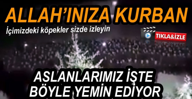 VİDEO HABER - TÜYLERİ DİKEN DİKEN EDEN GÖRÜNTÜLER