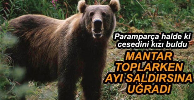 YAŞLI KADIN, AYI SALDIRISININ KURBANI OLDU
