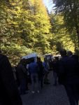YEDİGÖLLER YOLU ÇİLEYE DÖNDÜ