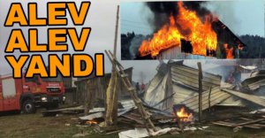 ALEV ALEV YANDI...