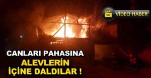 ALEV ALEV YANDI !
