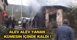 ALEV ALEV YANDI !
