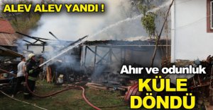 ALEV ALEV YANDI !