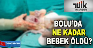BOLU'DA NE KADAR BEBEK ÖLDÜ?