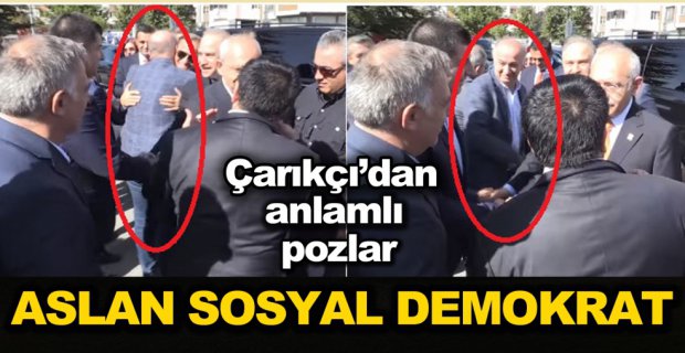 ASLAN SOSYAL DEMOKRAT