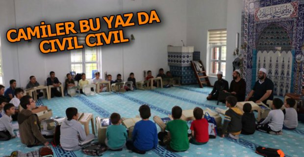 CAMİLER BU YAZ DA CIVIL CIVIL