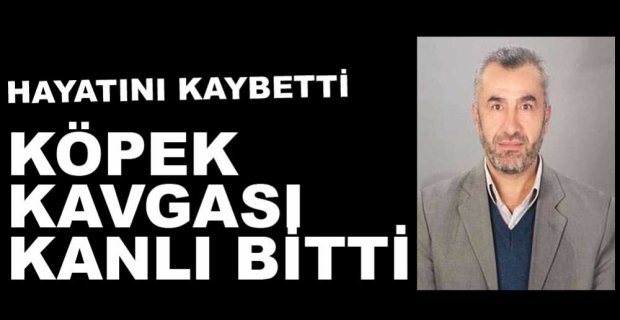 KÖPEK KAVGASINDA HAYATINI KAYBETTİ