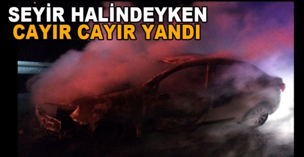 SEYİR HALİNDEKİ OTOMOBİL CAYIR CAYIR YANDI