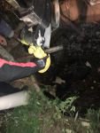 SU KUYUSUNDA CAN ÇEKİŞTİ
