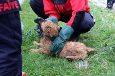 YAVRU KÖPEKLERİN İMDADINA İTFAİYE KOŞTU